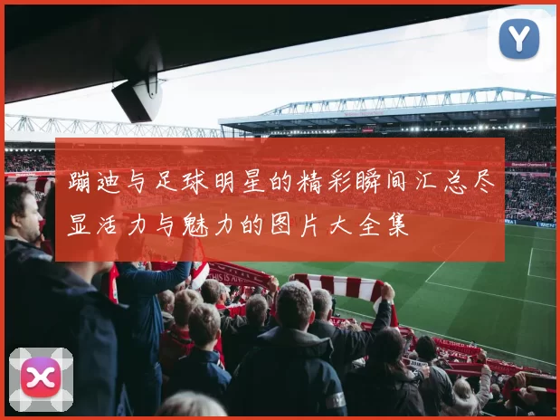 蹦迪与足球明星的精彩瞬间汇总尽显活力与魅力的图片大全集