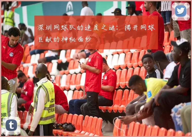 深圳网球队的速度之谜：揭开网球巨献的神秘面纱