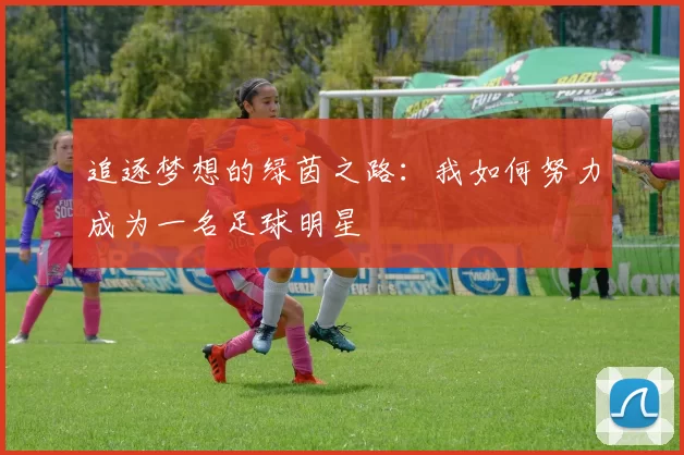 追逐梦想的绿茵之路：我如何努力成为一名足球明星