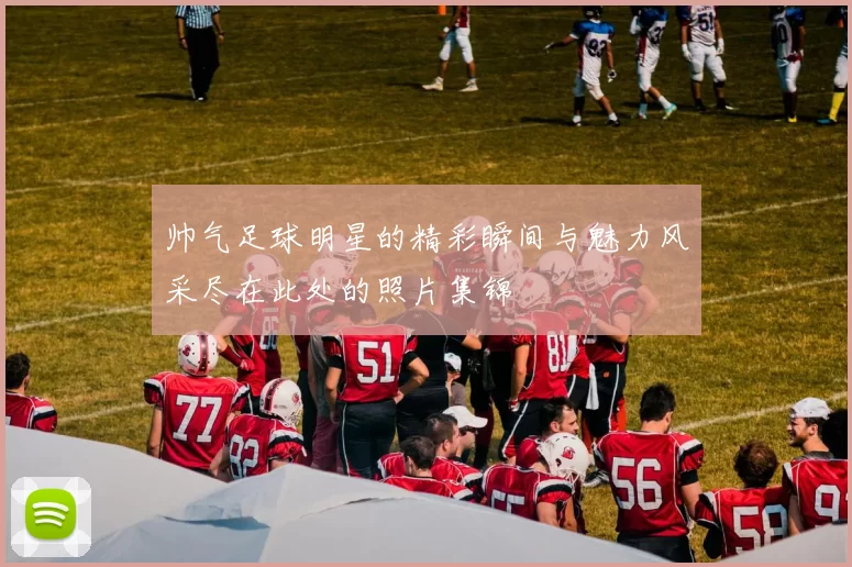 帅气足球明星的精彩瞬间与魅力风采尽在此处的照片集锦