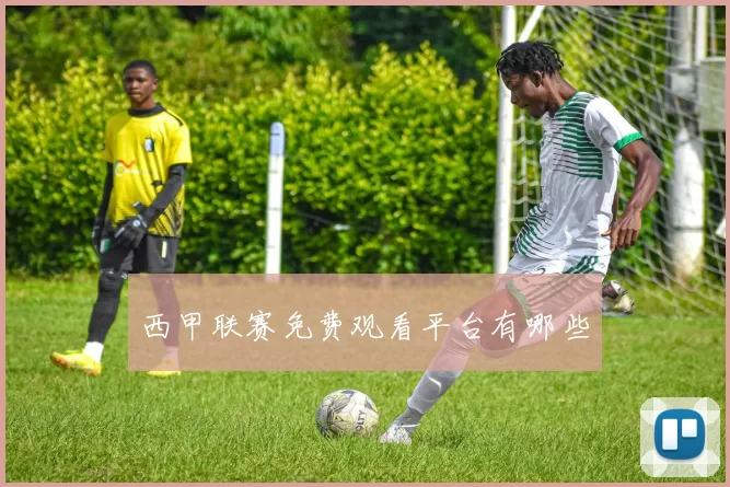西甲联赛免费观看平台有哪些