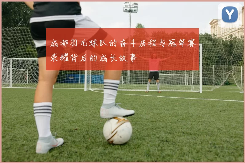 成都羽毛球队的奋斗历程与冠军赛荣耀背后的成长故事