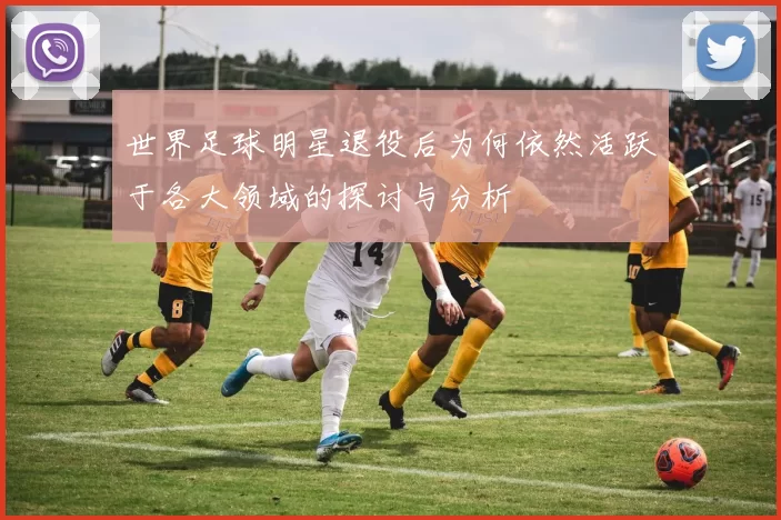 世界足球明星退役后为何依然活跃于各大领域的探讨与分析