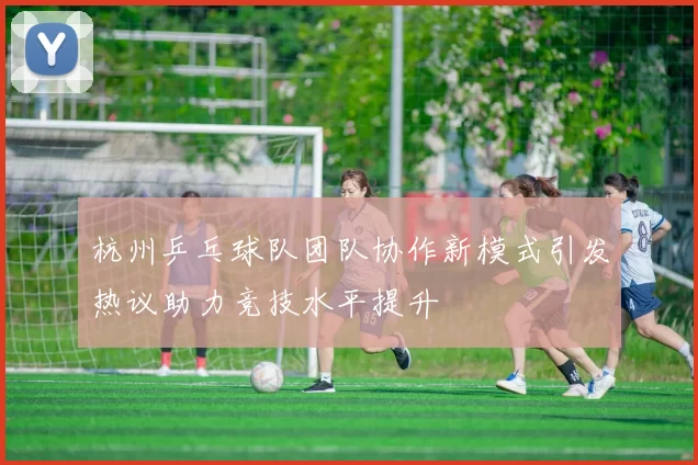 杭州乒乓球队团队协作新模式引发热议助力竞技水平提升