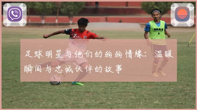 足球明星与他们的狗狗情缘：温暖瞬间与忠诚伙伴的故事