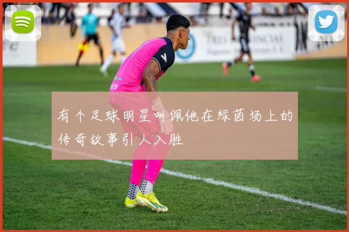 有个足球明星叫佩他在绿茵场上的传奇故事引人入胜
