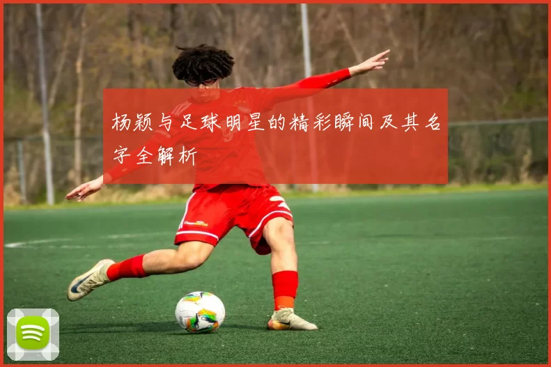 杨颖与足球明星的精彩瞬间及其名字全解析