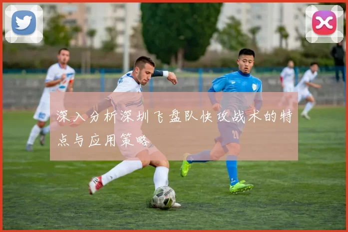 深入分析深圳飞盘队快攻战术的特点与应用策略