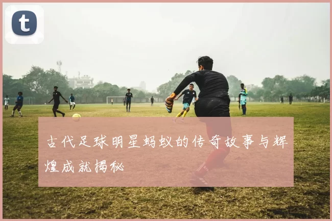 古代足球明星蚂蚁的传奇故事与辉煌成就揭秘