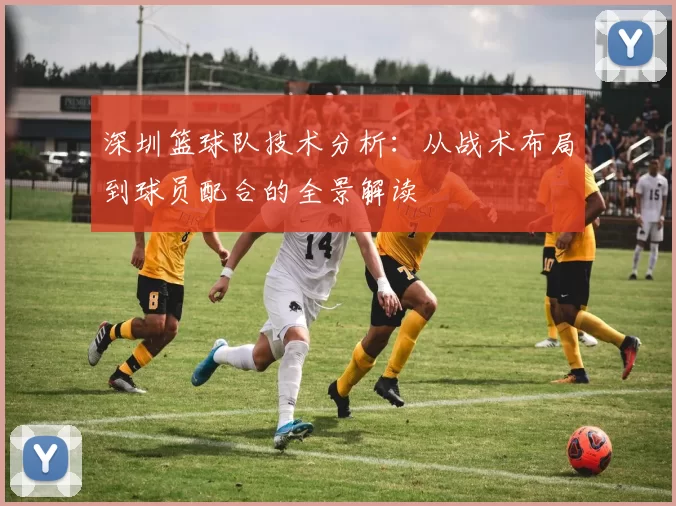 深圳篮球队技术分析：从战术布局到球员配合的全景解读
