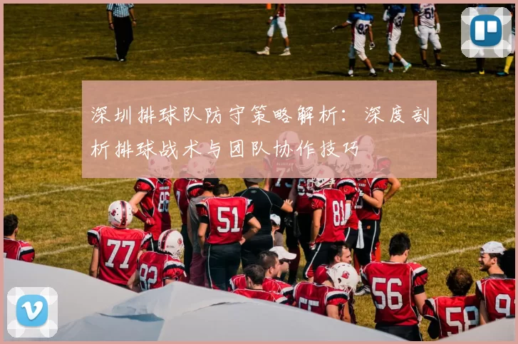 深圳排球队防守策略解析：深度剖析排球战术与团队协作技巧