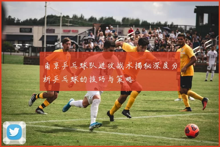 南京乒乓球队进攻战术揭秘深度分析乒乓球的技巧与策略