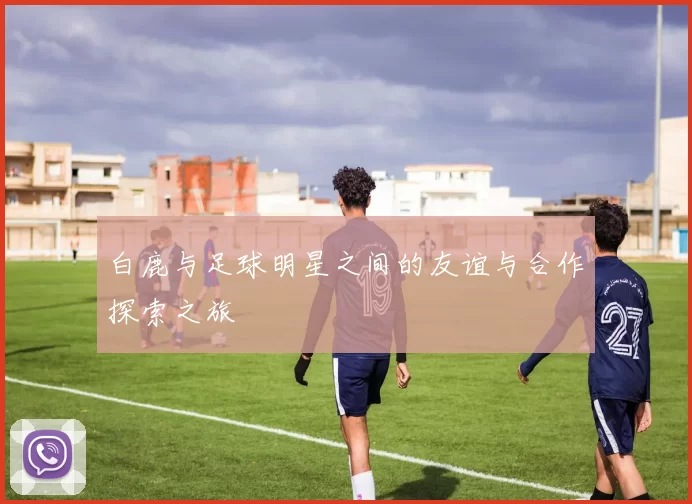 白鹿与足球明星之间的友谊与合作探索之旅