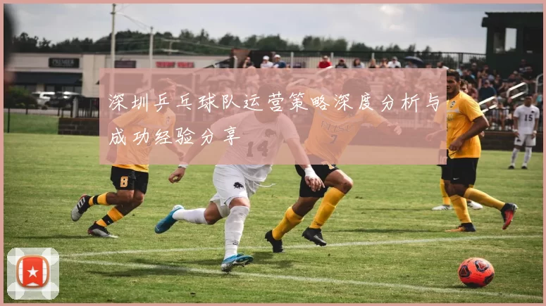 深圳乒乓球队运营策略深度分析与成功经验分享