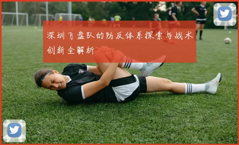 深圳飞盘队的防反体系探索与战术创新全解析