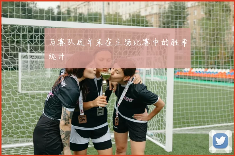 马赛队近年来在主场比赛中的胜率统计