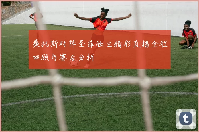 桑托斯对阵圣菲独立精彩直播全程回顾与赛后分析