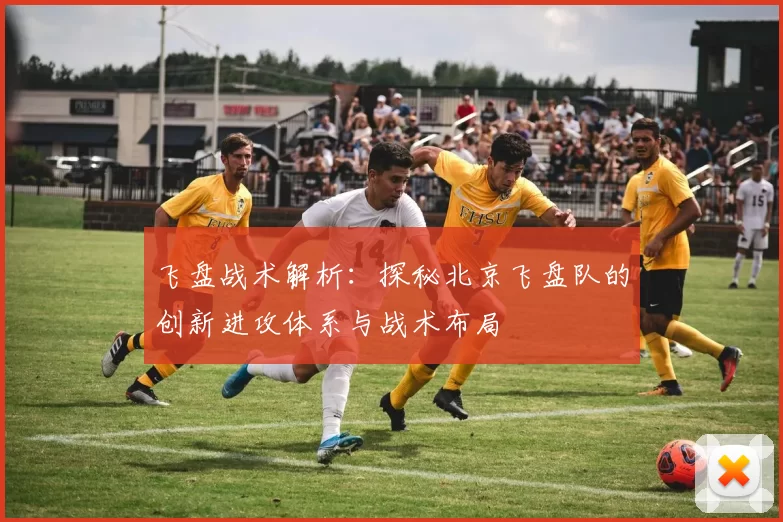 飞盘战术解析：探秘北京飞盘队的创新进攻体系与战术布局