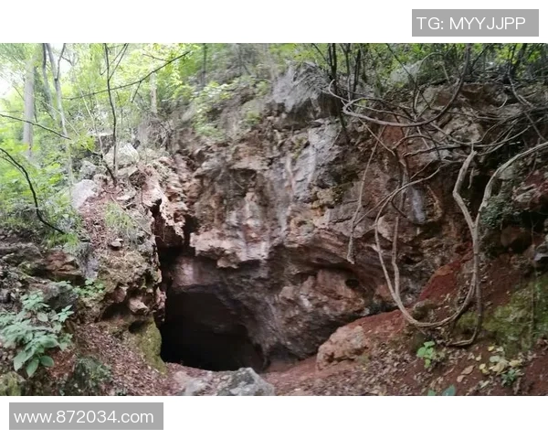 张丽的攀岩人生：在高峰之上与自我的深度对话与探索